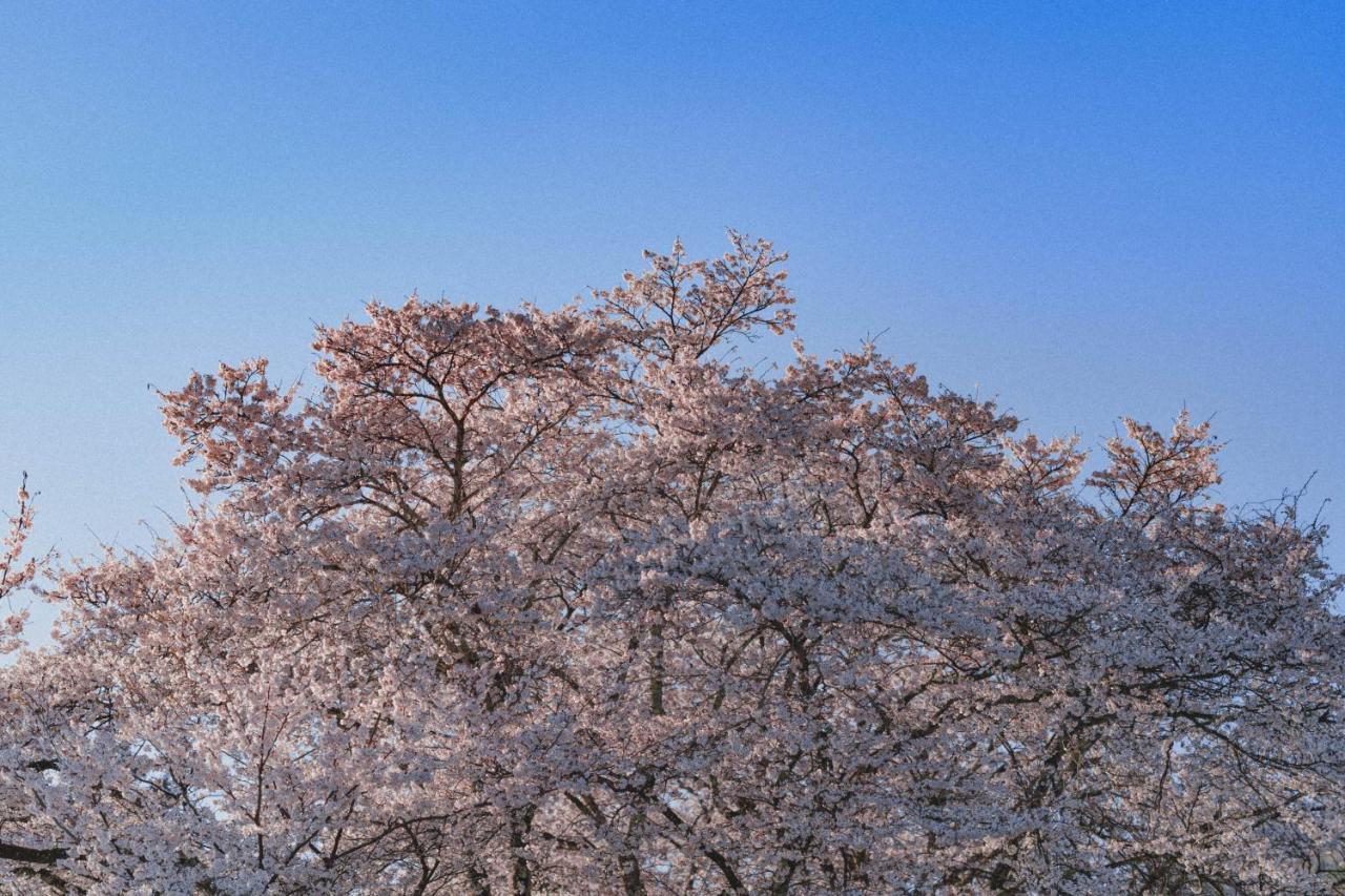 古民家宿 Loof 坂之家 笛吹市 エクステリア 写真